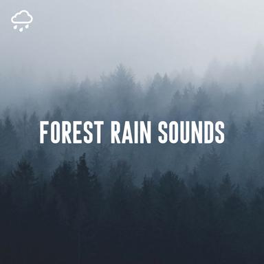 Crisp Rain