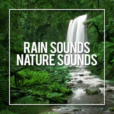Rain (Loopable)