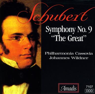 Symphony No. 9 in C Major, D. 944 "Great": I. Andante - Allegro ma non troppo