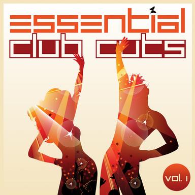 Just House Feel - Mike Duz Remix