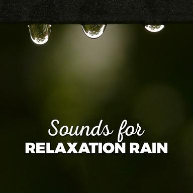 The Rain Returns