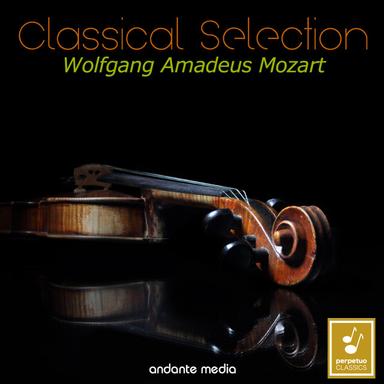 Violin Concerto No. 4 in D Major, K. 218: III. Rondeau. Andante grazioso - Allegro ma non troppo