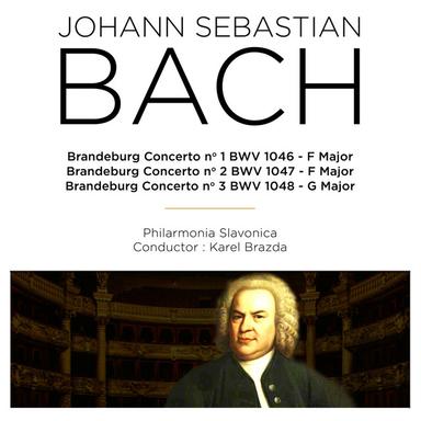 Brandenburg Concerto No. 1 in F Major, BWV 1046: I. Allegro