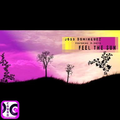 Feel The Sun - Radio Edit