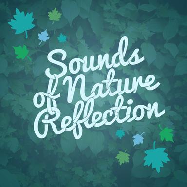 The Sound of Birds