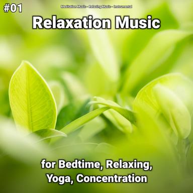Relaxing Music for Noise Reduction