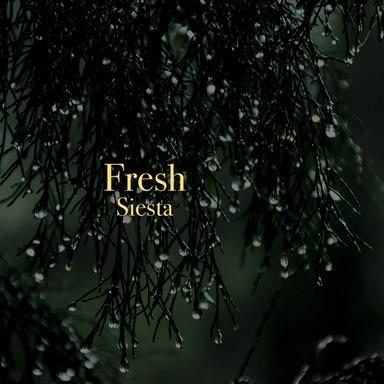 Splashing Rain
