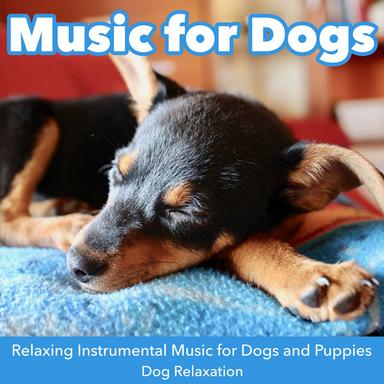 Songs for Dogs