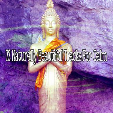 The Healing Wind