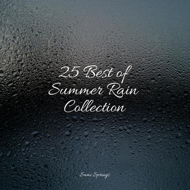 Rainy Summer
