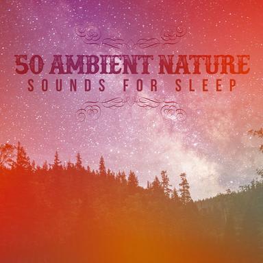Bird Songs and Streams