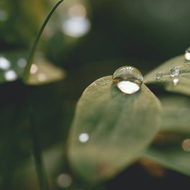 Under Shelter Strong Rains
