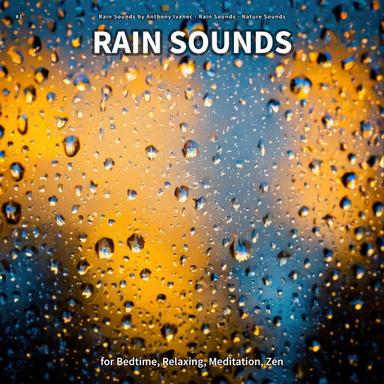 Rain Sounds No Music