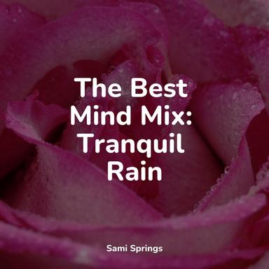 Soft Window Rains