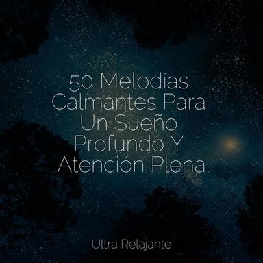 Armonía