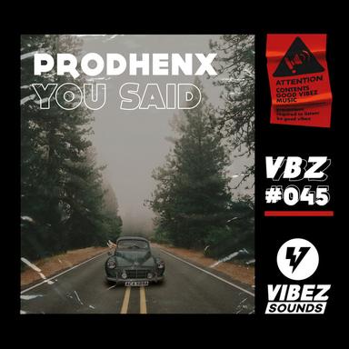 You Said - Radio Edit