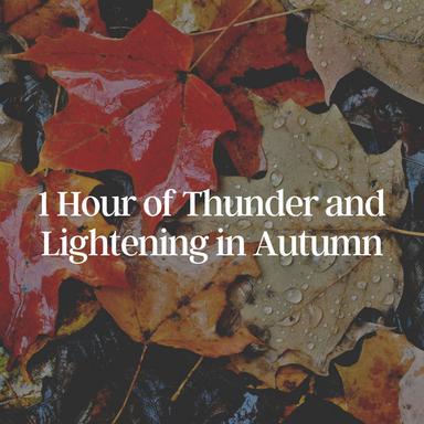 A Beautiful Thundery Night
