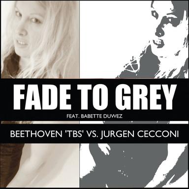 Fade to Grey - Italian House Mafia Moog Mix