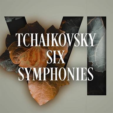 Symphony No. 4 in F Minor, Op. 36: III. Scherzo (Pizzicato ostinato)