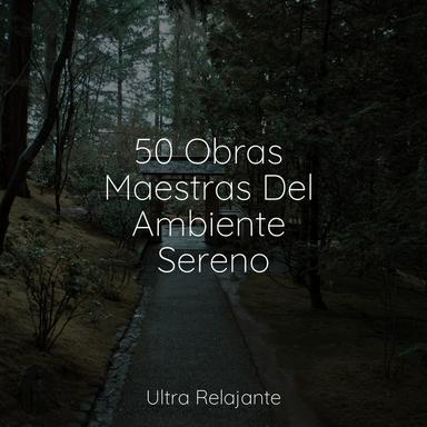 Melodía Del Agua