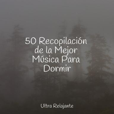 Sueño Sereno