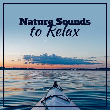 Calming Zen