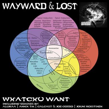 Whatchu Want - Annix Tm Remix