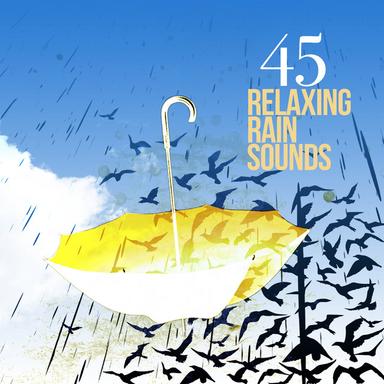45 Relaxing Rain Sounds