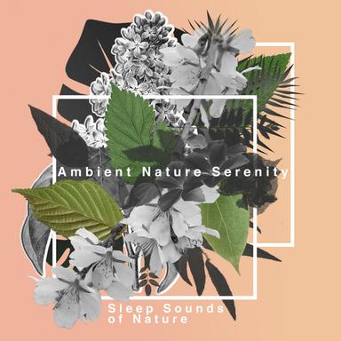 Melodic Nature