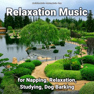 Relaxing Music for Learning