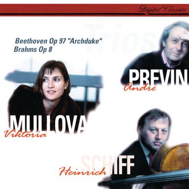 Piano Trio No. 7 in B-Flat Major, Op. 97 "Archduke": IV. Finale. Allegretto moderato
