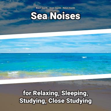 Relaxing Wave Sounds