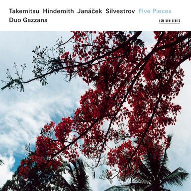 5 Pieces for Violin and Piano: I. Elegia. Andante larghetto