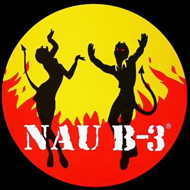 N3