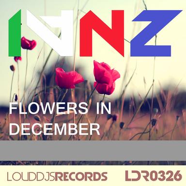 Flowers in December