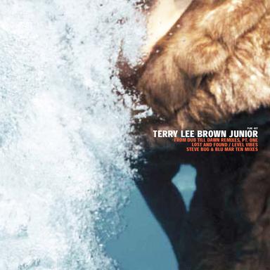 Lost and Found - Steve Bug Lost It Mix