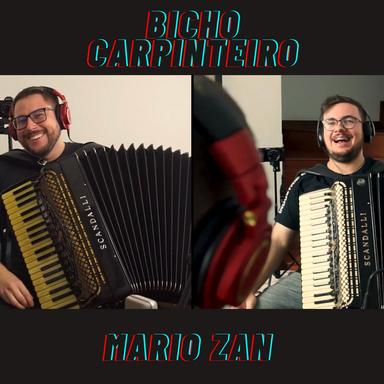 Bicho Carpinteiro