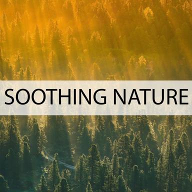 Nature Love