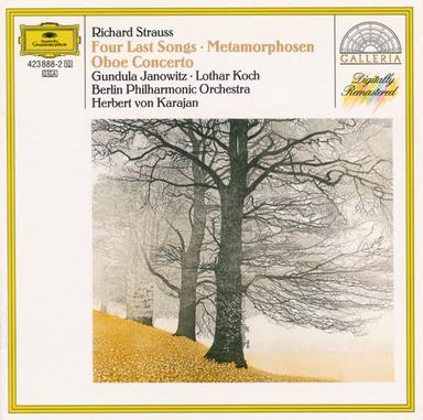 Concerto For Oboe And Small Orchestra In D Major: 1. Allegro moderato