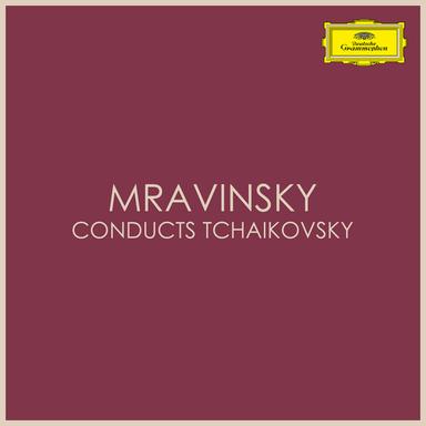 Symphony No. 5 In E Minor, Op. 64, TH.29: 4. Finale (Andante maestoso - Allegro vivace)