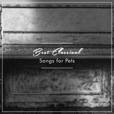 Mozarts' Sonata in B Flat Major II Andante Cantabile