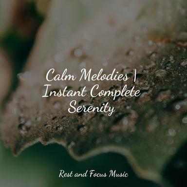Meditative Musings