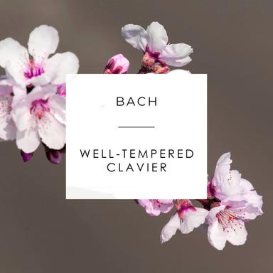 The Well-Tempered Clavier: Book 1, BWV 846-869: Prelude in C Major, BWV 846