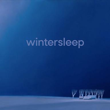 Wintersleep
