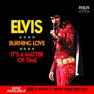 Burning Love