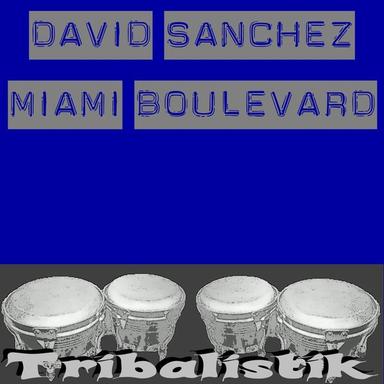 Miami Boulevard (Day)