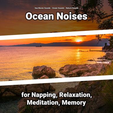 Sea Noises for Dog Barking