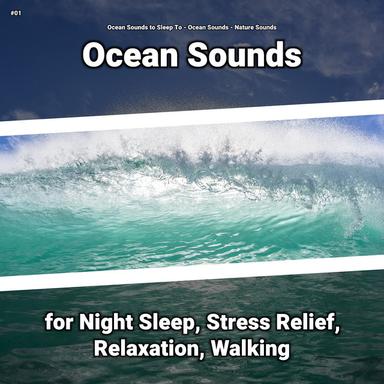 Ocean Sounds for Calming
