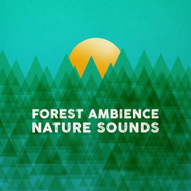 Forest Sounds