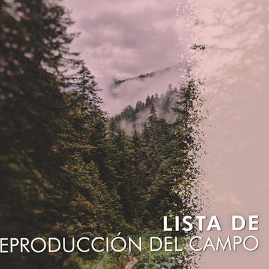 Primavera para la Hora de la Siesta